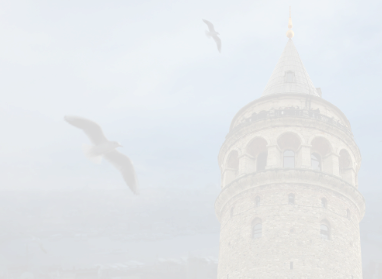 Beyoğlu İlçe Başkanı